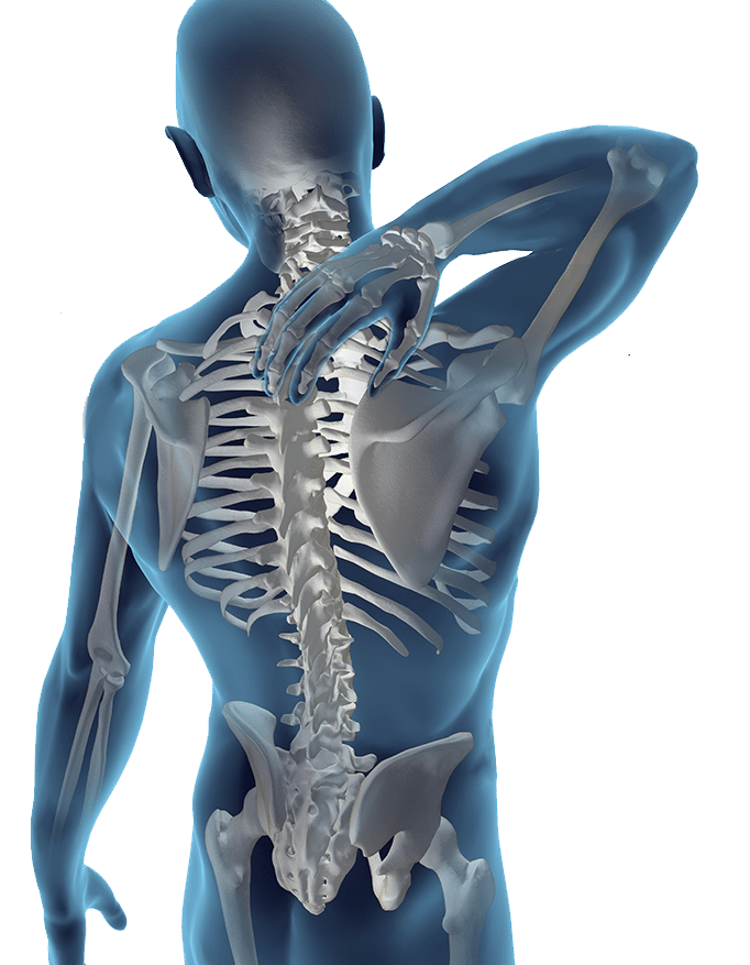 skeleton of conditions chiropractors treat