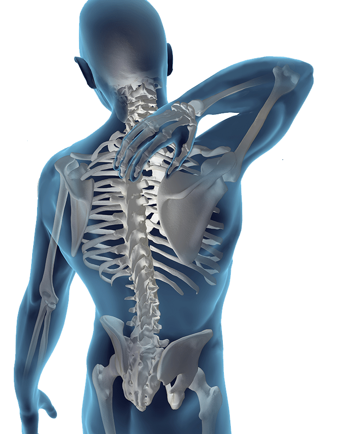 skeleton of conditions chiropractors treat